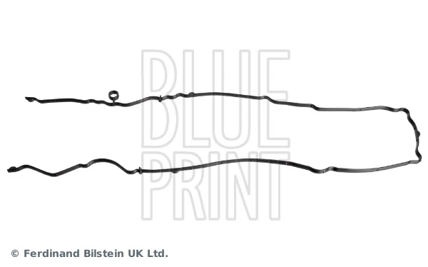 Gasket, timing case cover